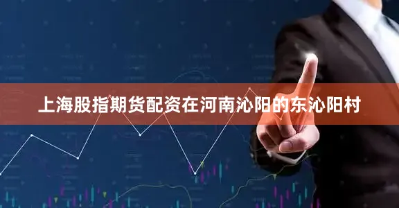 上海股指期货配资在河南沁阳的东沁阳村