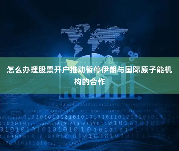 怎么办理股票开户推动暂停伊朗与国际原子能机构的合作