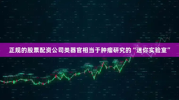 正规的股票配资公司类器官相当于肿瘤研究的“迷你实验室”