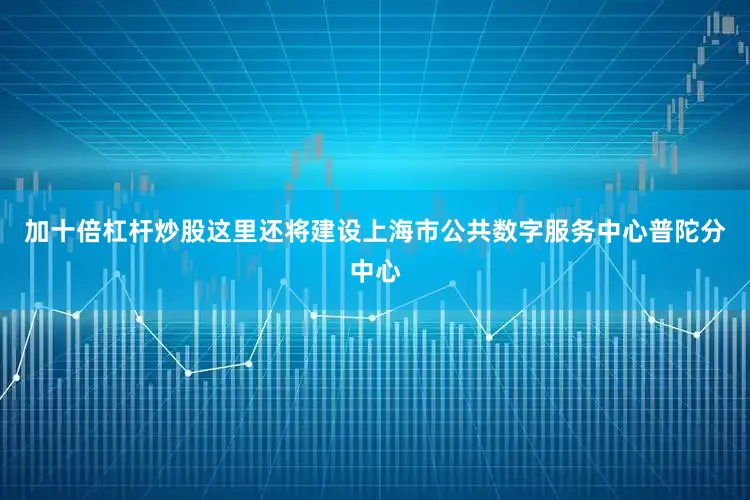加十倍杠杆炒股这里还将建设上海市公共数字服务中心普陀分中心